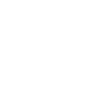 Cupra servis