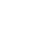 Dacia servis