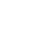 Dongfeng servis