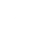 DS Automobiles servis