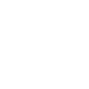 Ferrari servis