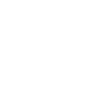 Fiat servis