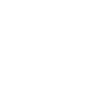 Ford servis