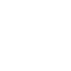 Isuzu servis