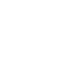 Porsche servis