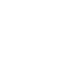 Tesla servis