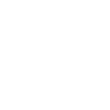 Toyota servis